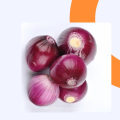 Chinese fresh red onion price per ton export